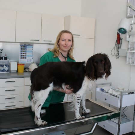 Tierärztin Sonja Spankowsky mit Hund auf Behandlungstisch